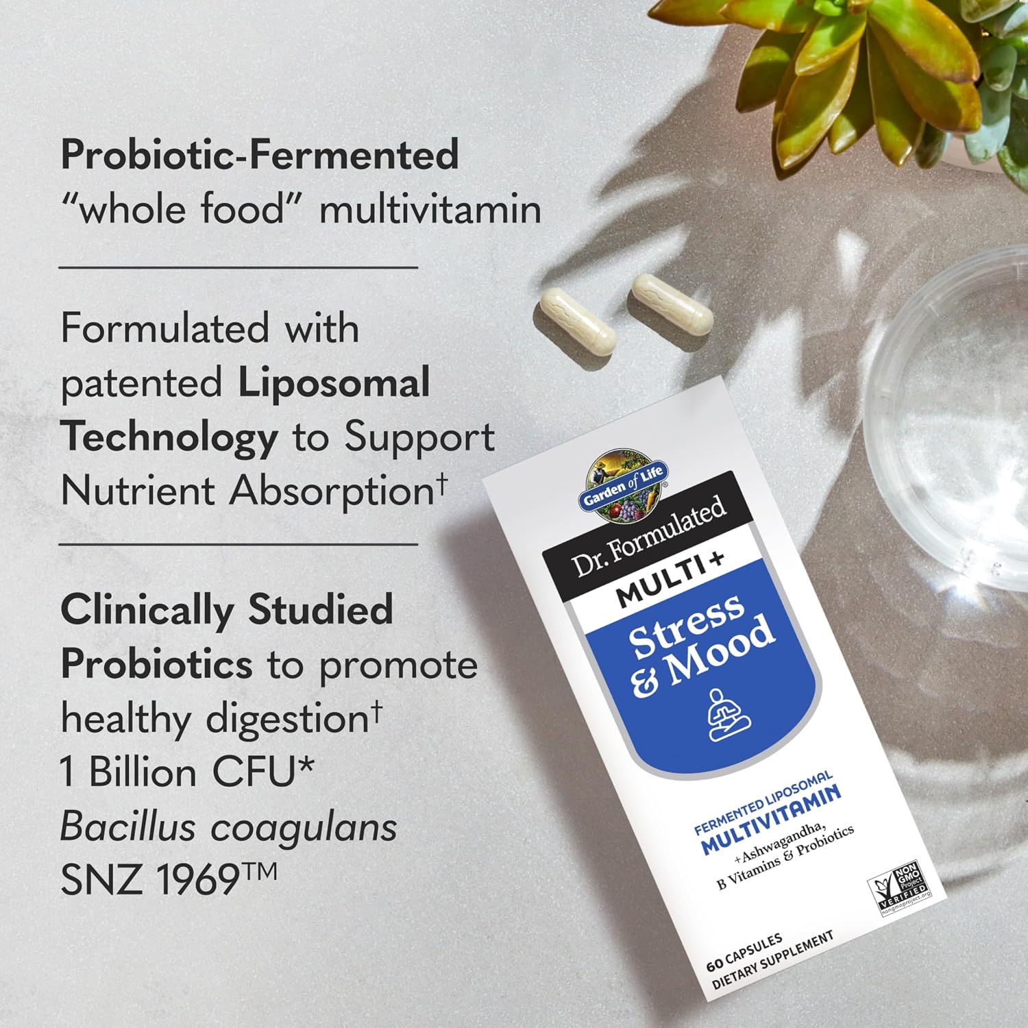 Garden of Life Dr. Formulated Multi+ Stress & Mood - Multivitamínico con Ashwagandha, Vitaminas B y Probióticos, 60 Cápsulas