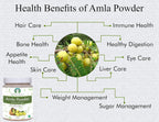 Polvo de Fruta de Amla (Amalaki) 100 g - AYURVEDASHREE