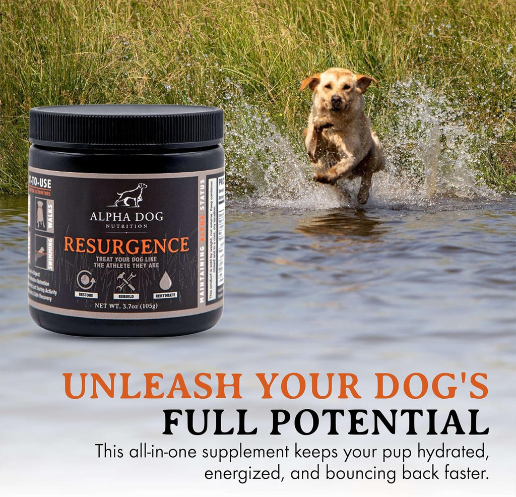 Alpha Dog Nutrition Electrolitos para Perros - Suplemento de Hidratación Formulado por Doctores con Sabor a Carne de Res para Caninos Activos - Polvo Versátil para la Recuperación de la Deshidratación y la Resistencia