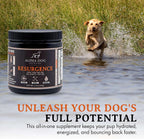 Alpha Dog Nutrition Electrolitos para Perros - Suplemento de Hidratación Formulado por Doctores con Sabor a Carne de Res para Caninos Activos - Polvo Versátil para la Recuperación de la Deshidratación y la Resistencia