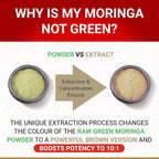 Cápsulas de Moringa Orgánica True Veda | Extracto Concentrado 10:1 | Suplemento Vegano | 60 Cápsulas
