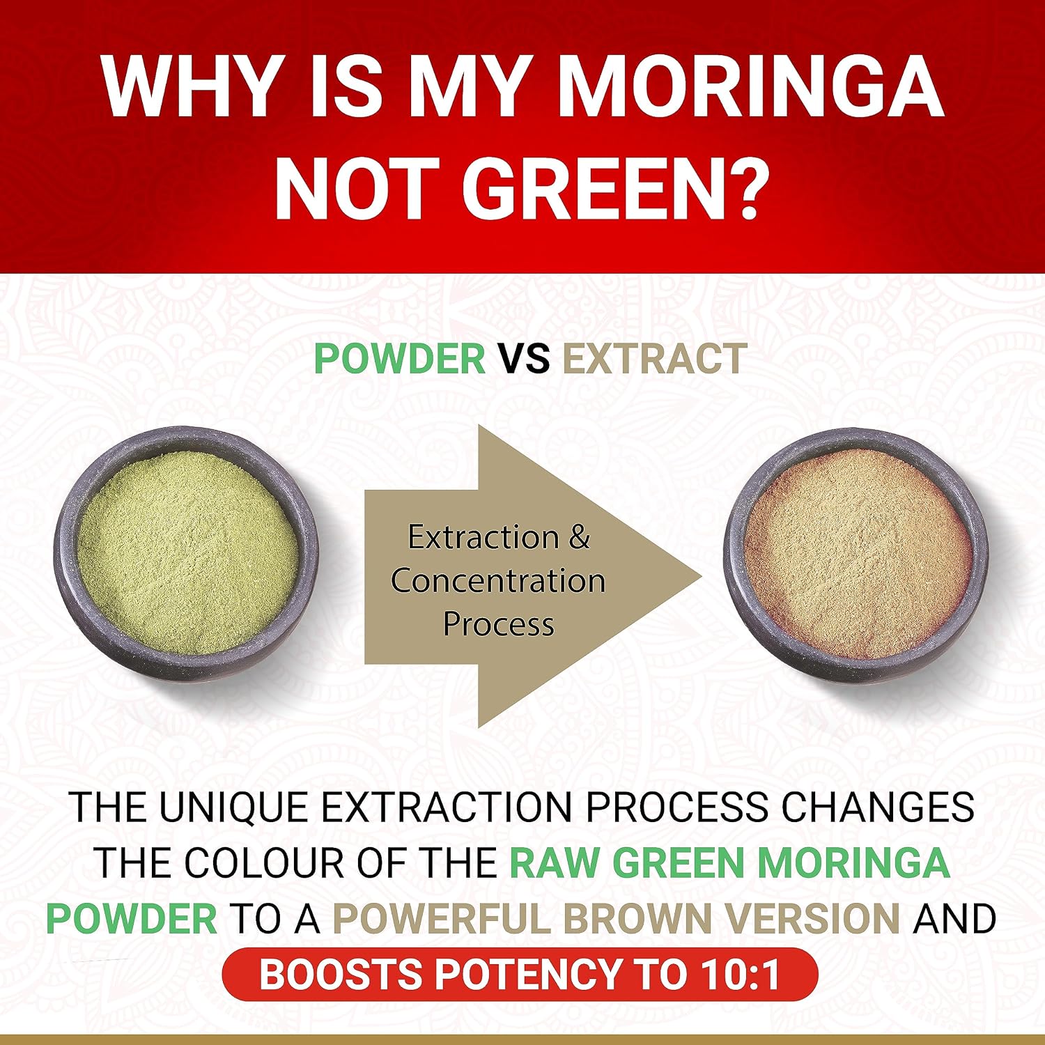 Cápsulas de Moringa Orgánica True Veda | Extracto Concentrado 10:1 | Suplemento Vegano | 60 Cápsulas