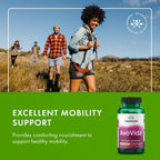 Swanson AvoVida - Insaponificables de Aguacate y Soja para la Salud Articular (60 Cápsulas, 300 mg)