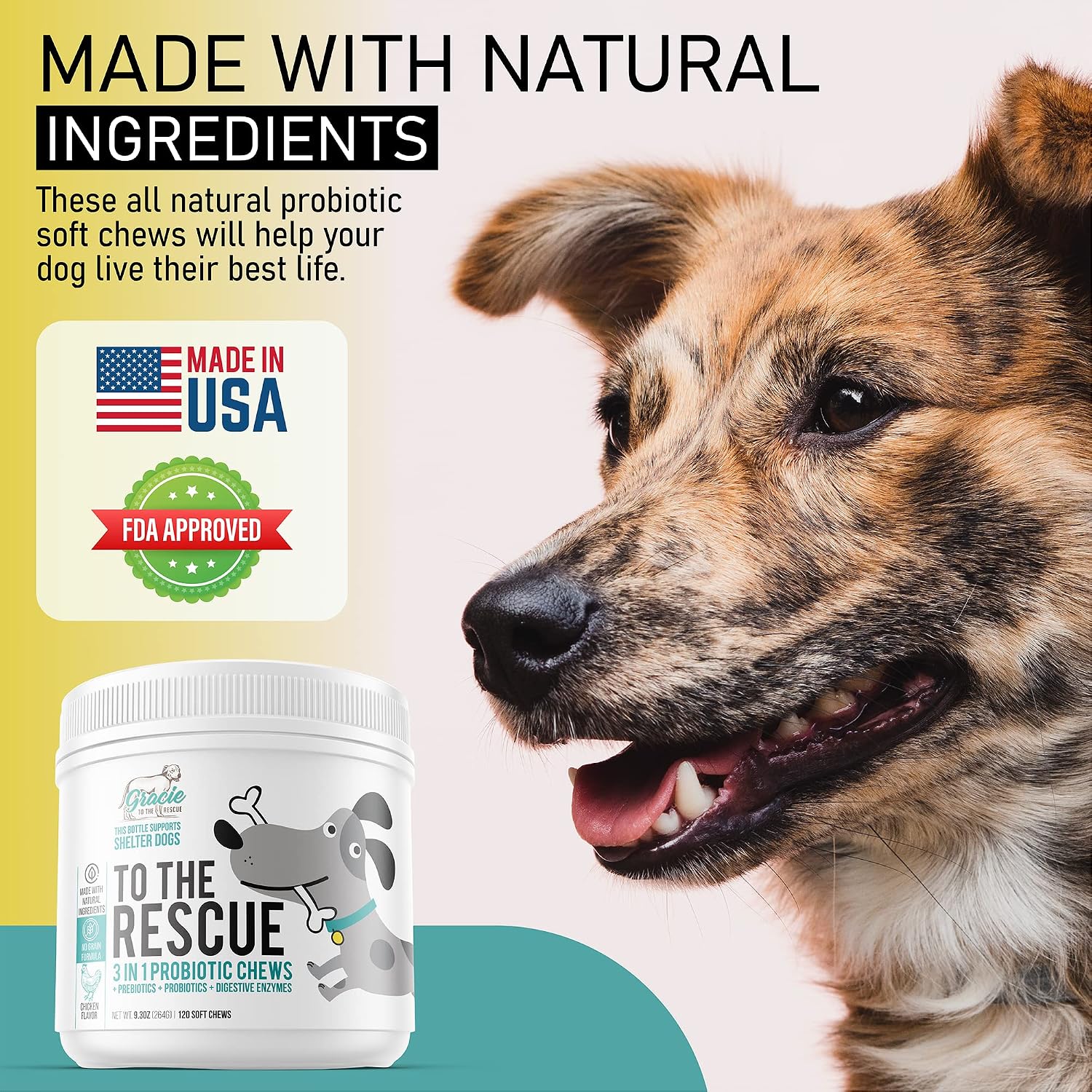 Probióticos para Perros Masticables – Apoyo Digestivo con Enzimas – 120 Unidades