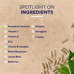 Research Verified Shinglax - Melisa, Enzimas Proteolíticas, Complejo de Hongos, Complejo B, Orégano, Zinc - Sin OGM, Fabricado en USA - 60 Cápsulas (Pack de 6)