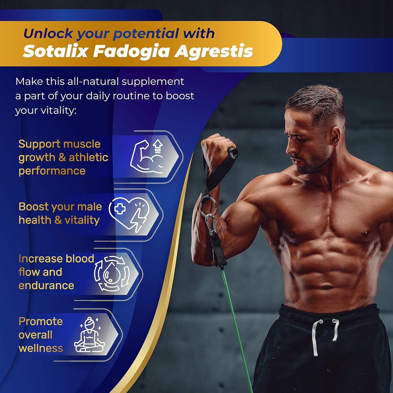High Strength Fadogia Agrestis Cápsulas - Fórmula Concentrada con Maca Root - 90 Cápsulas