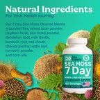 Atlantic Naturals Cápsulas de Sea Moss 180 uds. – Hígado, Vesícula y Riñones