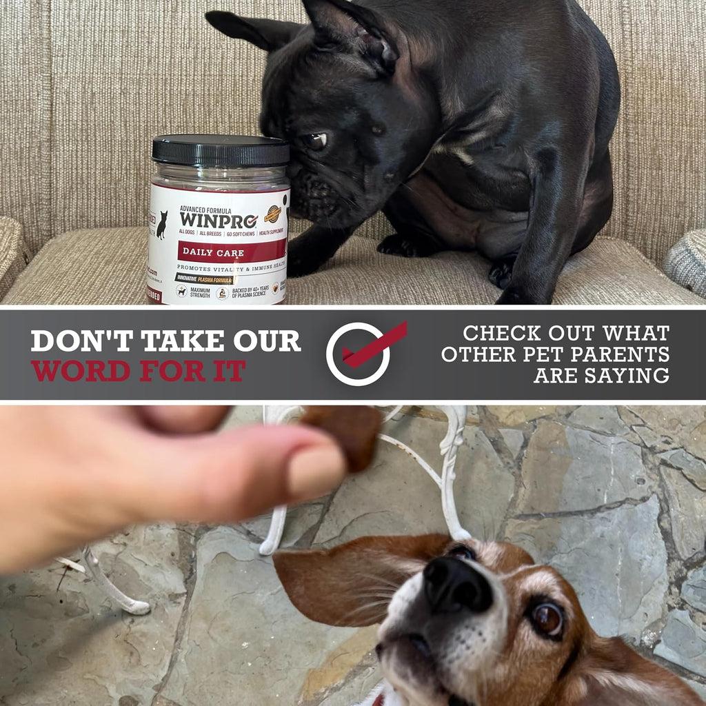 WINPRO Pet Daily Care - Snacks blandos para perros, 60 unidades, fórmula con plasma y probióticos