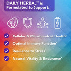 Vital Plan Daily Herbal Supplement - Suplemento Herbario con Reishi, Cúrcuma y Rhodiola