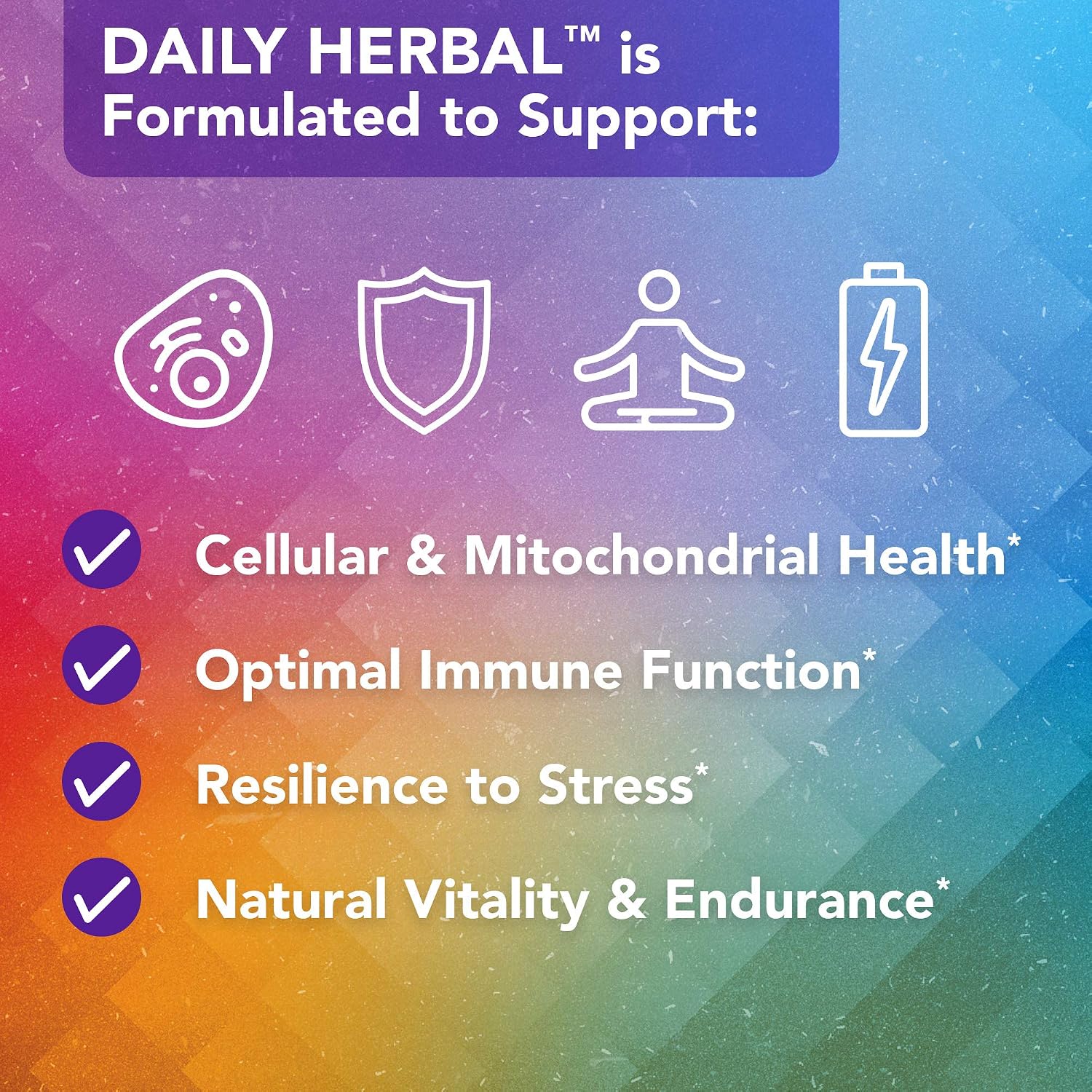 Vital Plan Daily Herbal Supplement - Suplemento Herbario con Reishi, Cúrcuma y Rhodiola