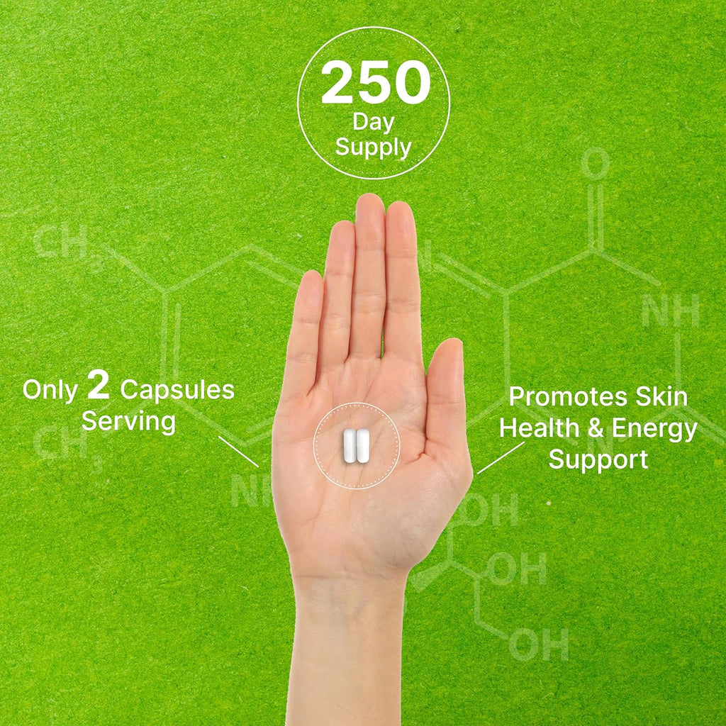Vitamina B3 Niacinamida 1000 mg - 500 Cápsulas - Sin Rubor