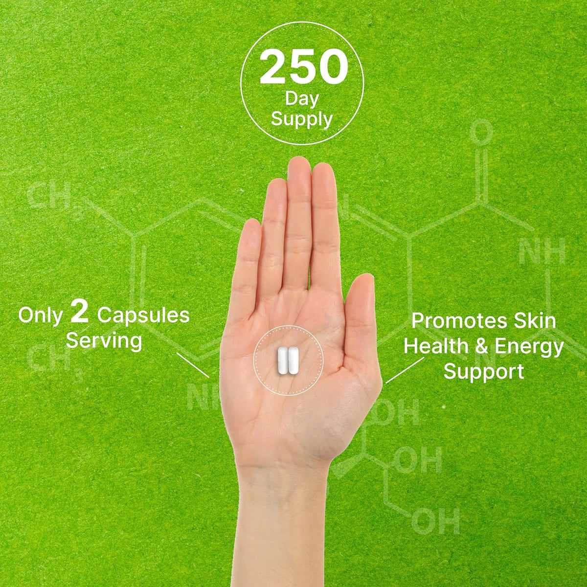Vitamina B3 Niacinamida 1000 mg - 500 Cápsulas - Sin Rubor – Image 5