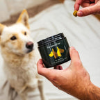 Elevated Pets: Gominolas omega 3, glucosamina y condroitina para perros
