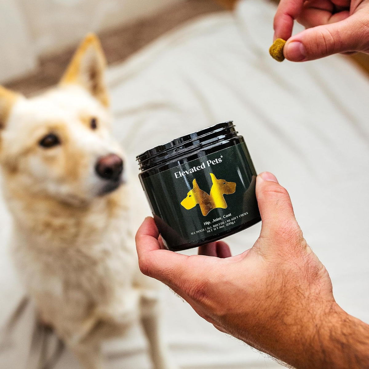 Elevated Pets: Gominolas omega 3, glucosamina y condroitina para perros – Image 5
