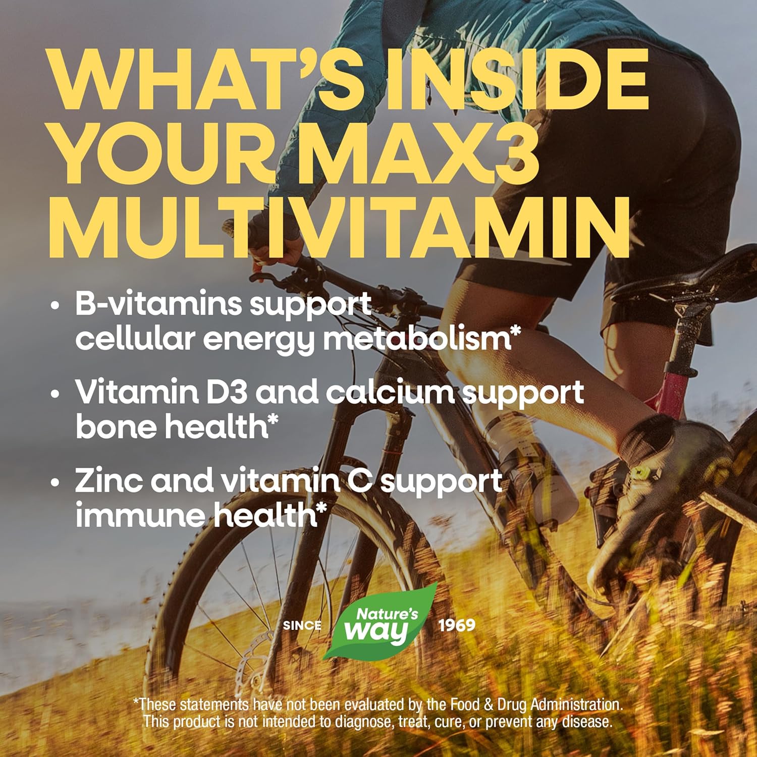 Nature's Way Alive! Max3 Daily Potency Multivitamin with Iron - 180 Tablets