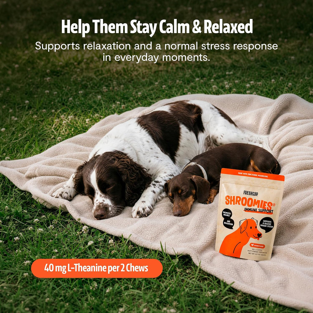 FreshCap Shroomies: Suplemento de setas para perros, 180 uds