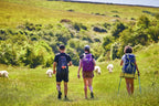 Ordnance Survey Mapa Explorer OL7 - Distrito de los Lagos Sureste: Windermere, Kendal y Silverdale