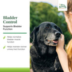 Terry Naturally Bladder Control - Complemento para la salud de la vejiga en perros - 30 cápsulas