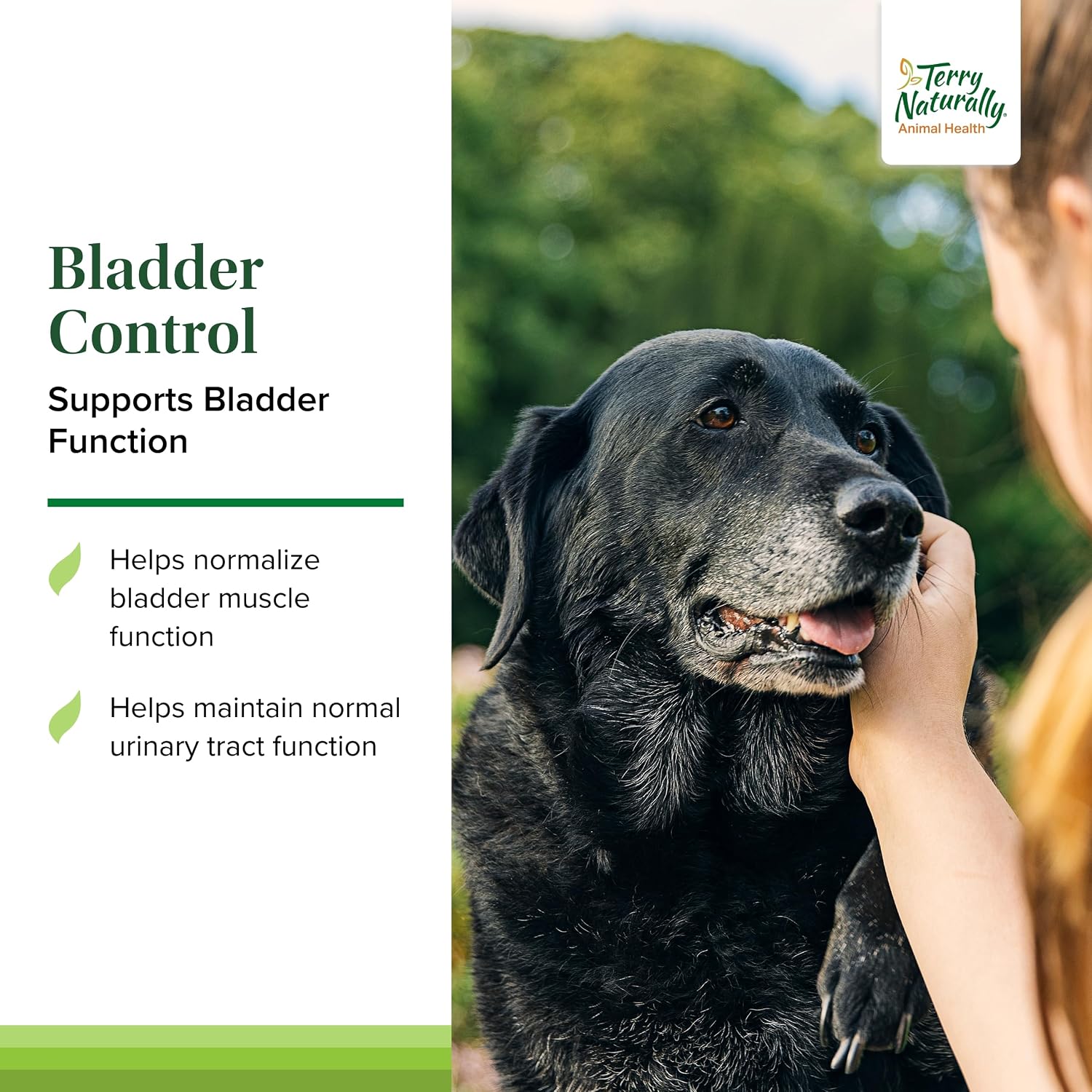 Terry Naturally Bladder Control - Complemento para la salud de la vejiga en perros - 30 cápsulas