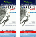 Wellgenix Bio-Available Sublingual B12 Max - 120 Comprimidos