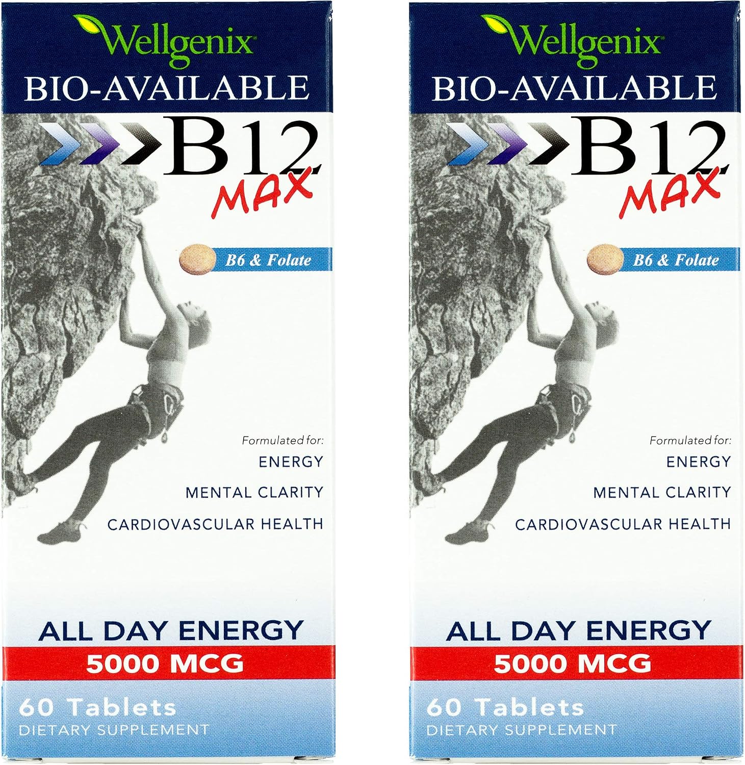Wellgenix Bio-Available Sublingual B12 Max - 120 Comprimidos