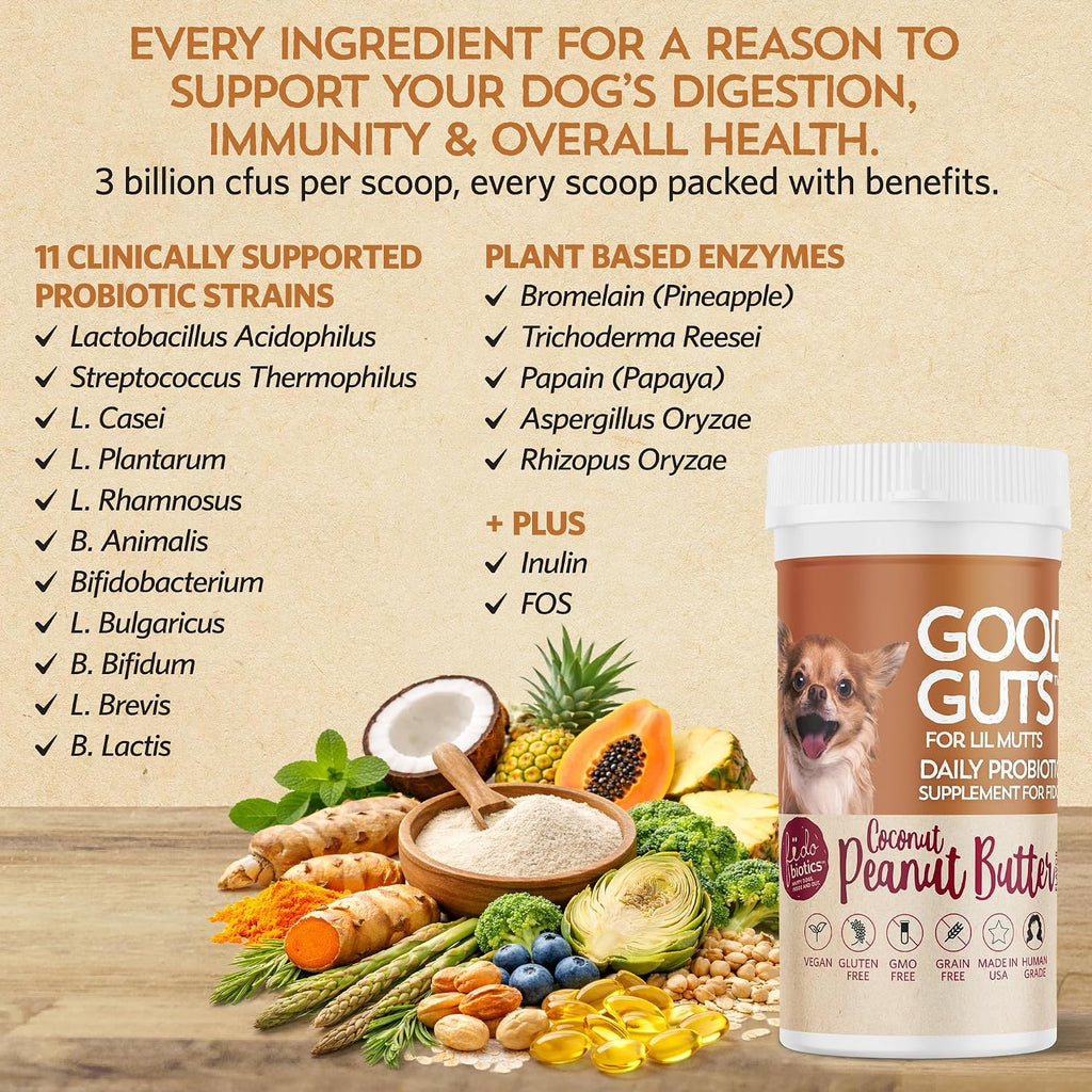 Good Guts Probióticos para Perros Pequeños – Polvo Digestivo con 3B UFC, Enzimas y Prebióticos