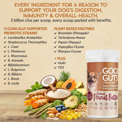 Good Guts Probióticos para Perros Pequeños – Polvo Digestivo con 3B UFC, Enzimas y Prebióticos – Image 7