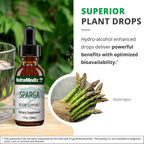 Sparga Asparagus Tincture - Antioxidant Extract - 30 ml