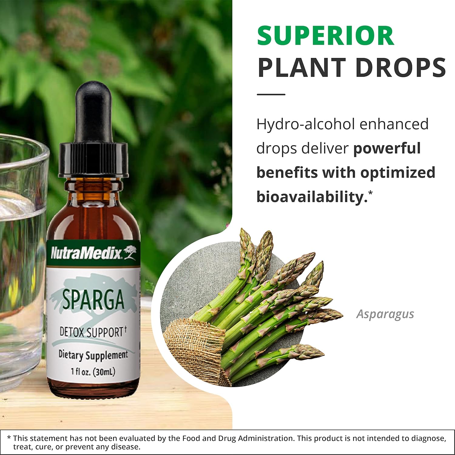 Sparga Asparagus Tincture - Antioxidant Extract - 30 ml