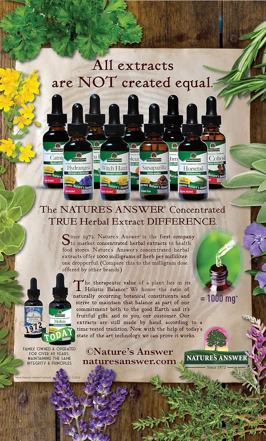 Nature's Answer Extracto de Schisandra - Sin Alcohol, Sin Gluten - Apoyo para el Estrés y la Fatiga