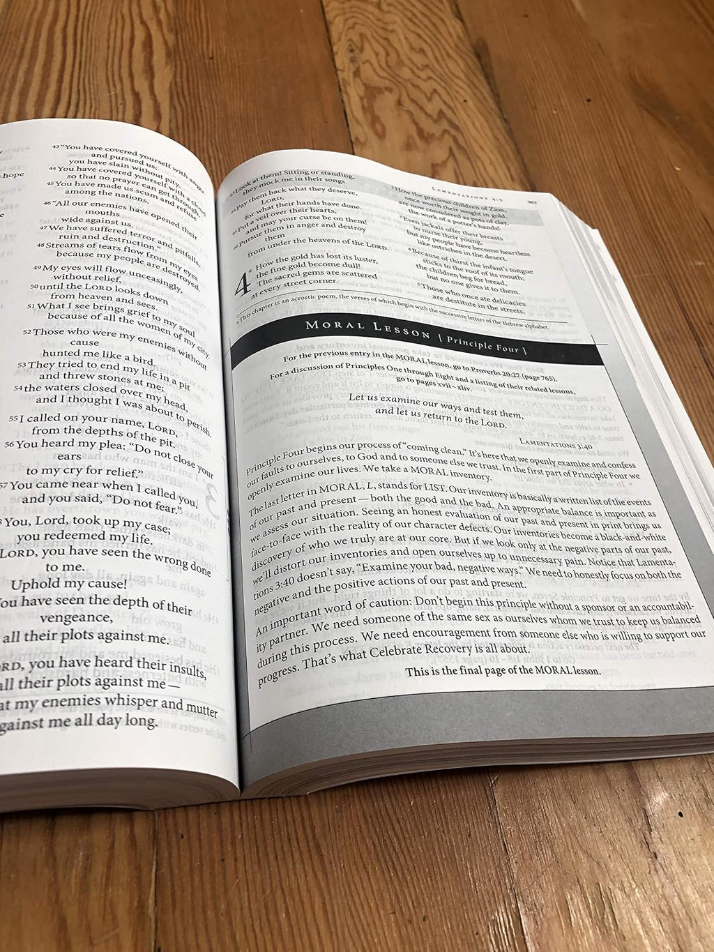 NIV, Celebrate Recovery Study Bible, Large Print, Paperback
