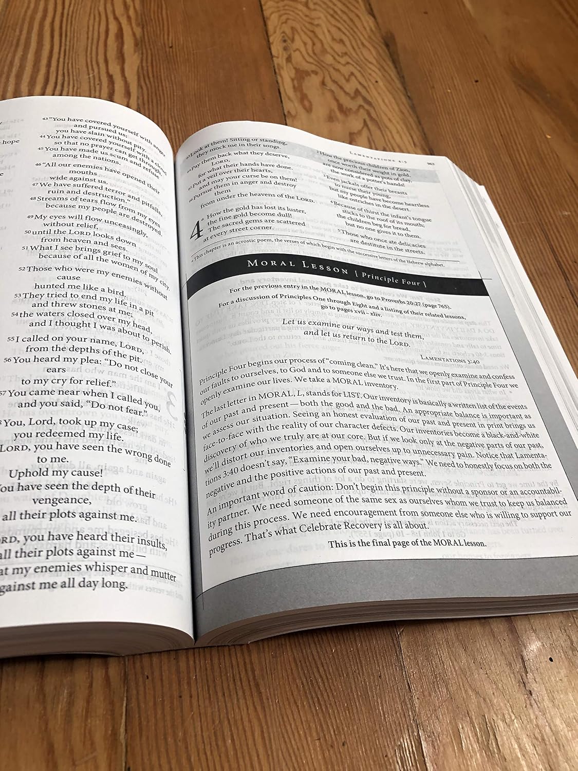 NVI, Biblia de estudio Celebrate Recovery, letra grande, tapa blanda