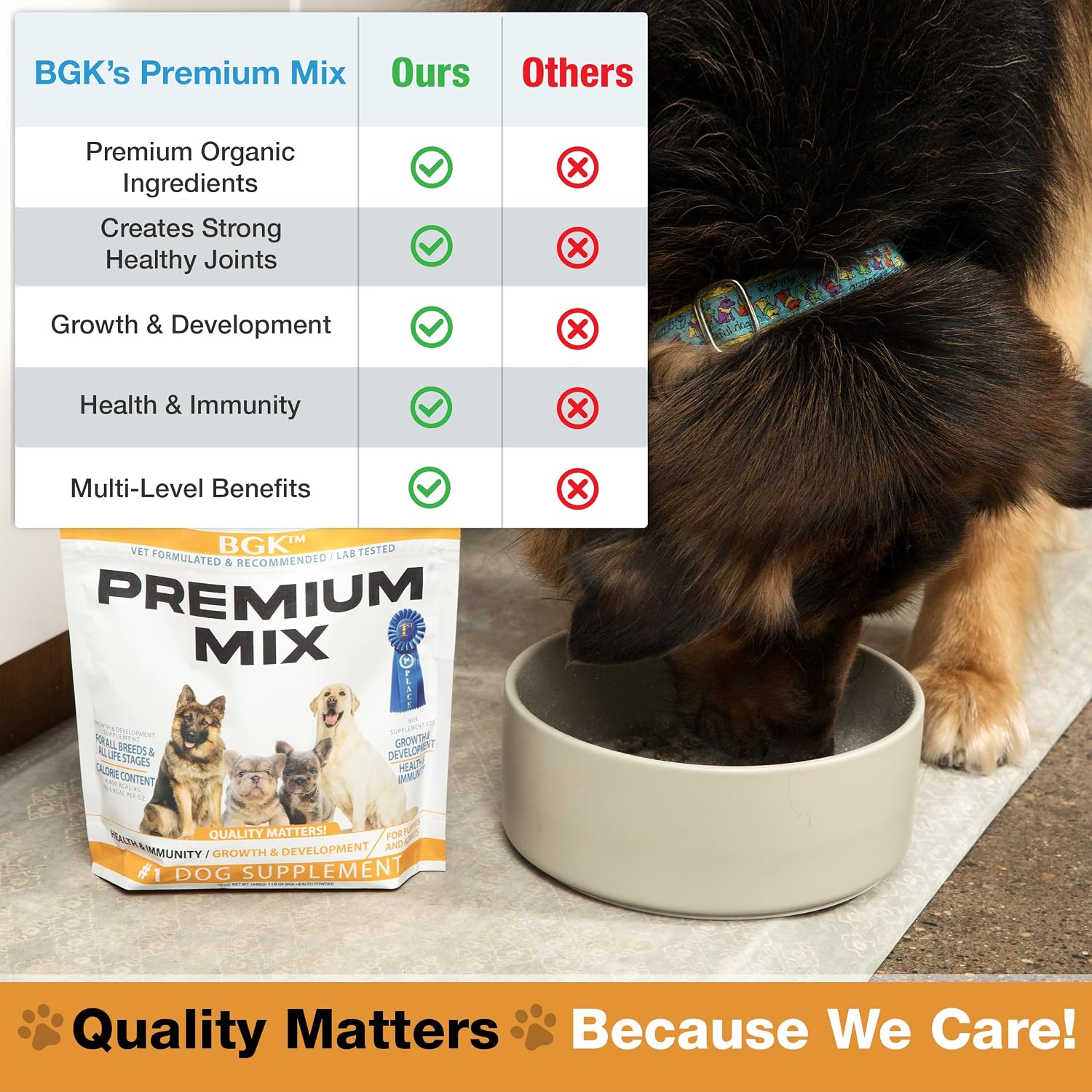 BGK Premium Mix Multivitamínico para Perros (Polvo) - 100% Orgánico para Todas las Edades y Razas