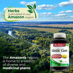 Lab - Mastic Gum - 100 Cápsulas - FITO MEDIC'S