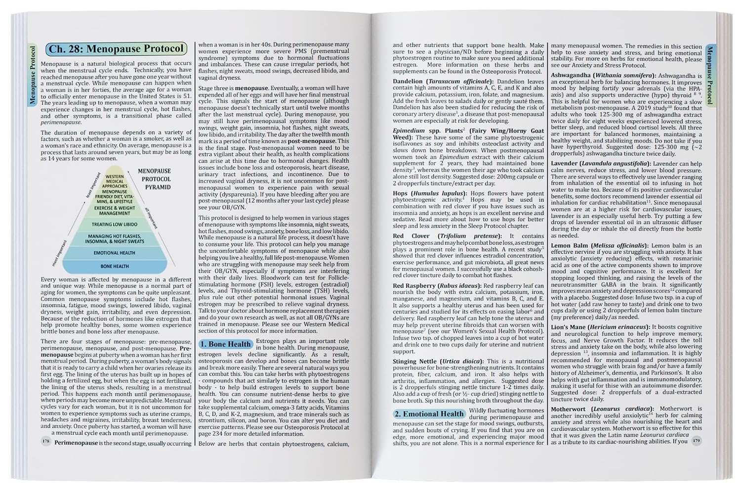 The Holistic Guide to Wellness: Herbal Protocols for Common Ailments