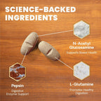 VetriScience Extra Strength Healthy Gut & Digestion - Complemento para perros con probióticos y enzimas digestivas, 120 comprimidos masticables sabor pollo