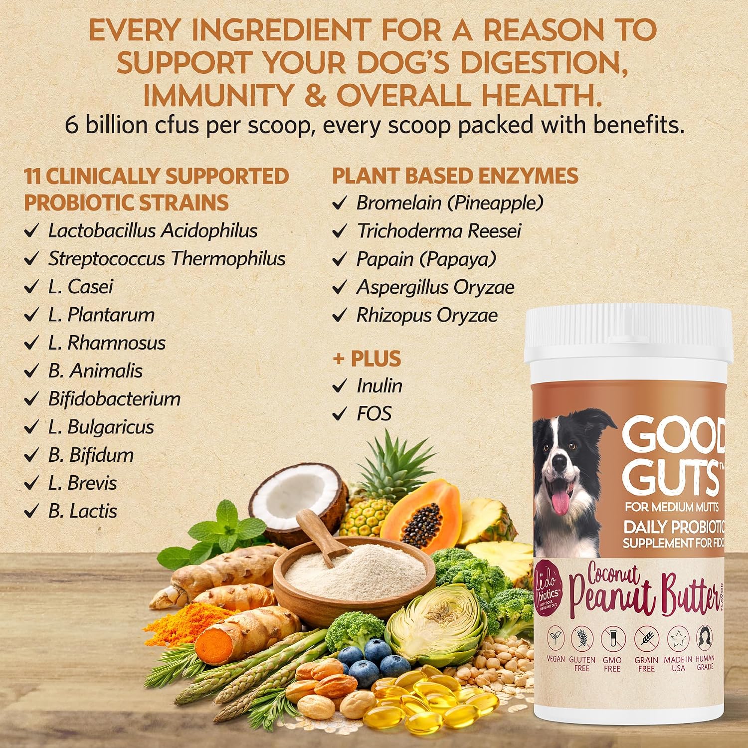 Good Guts Probiotics for Dogs – Probiótico en Polvo para Perros Medianos, 6B UFC, Enzimas y Prebióticos