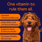 Finn All-in-1 Multivitamínico Diario para Perros - 90 Comprimidos Blandos con Probióticos y Omega