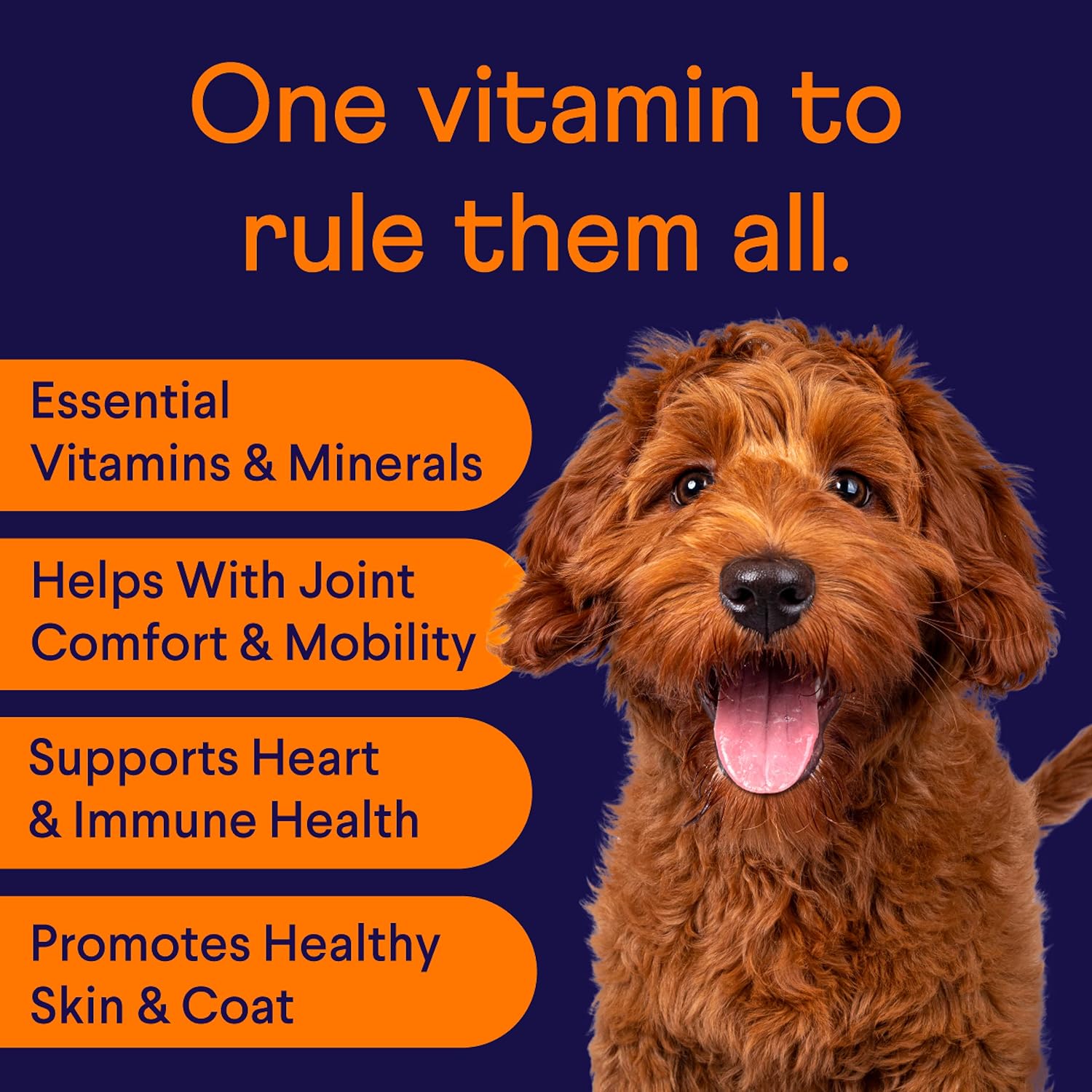 Finn All-in-1 Multivitamínico Diario para Perros - 90 Comprimidos Blandos con Probióticos y Omega