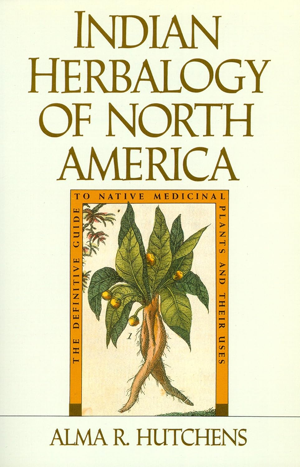Indian Herbalogy of North America: The – Identificación botánica: descripciones detalladas de cada planta, – Image 1