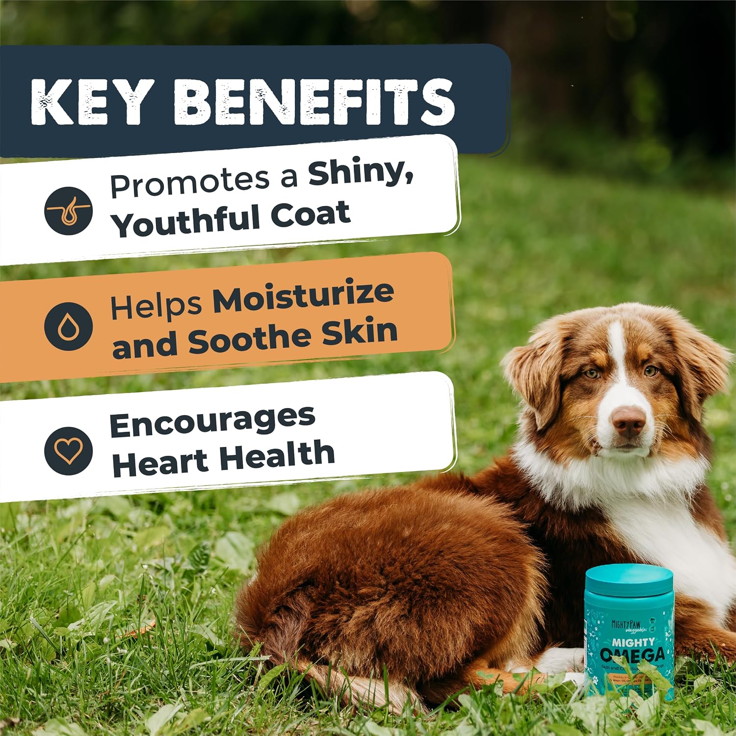 Mighty Paw Waggables Mighty Omega - 120 masticables de aceite de pescado con omega 3 para perros, sabor bacon