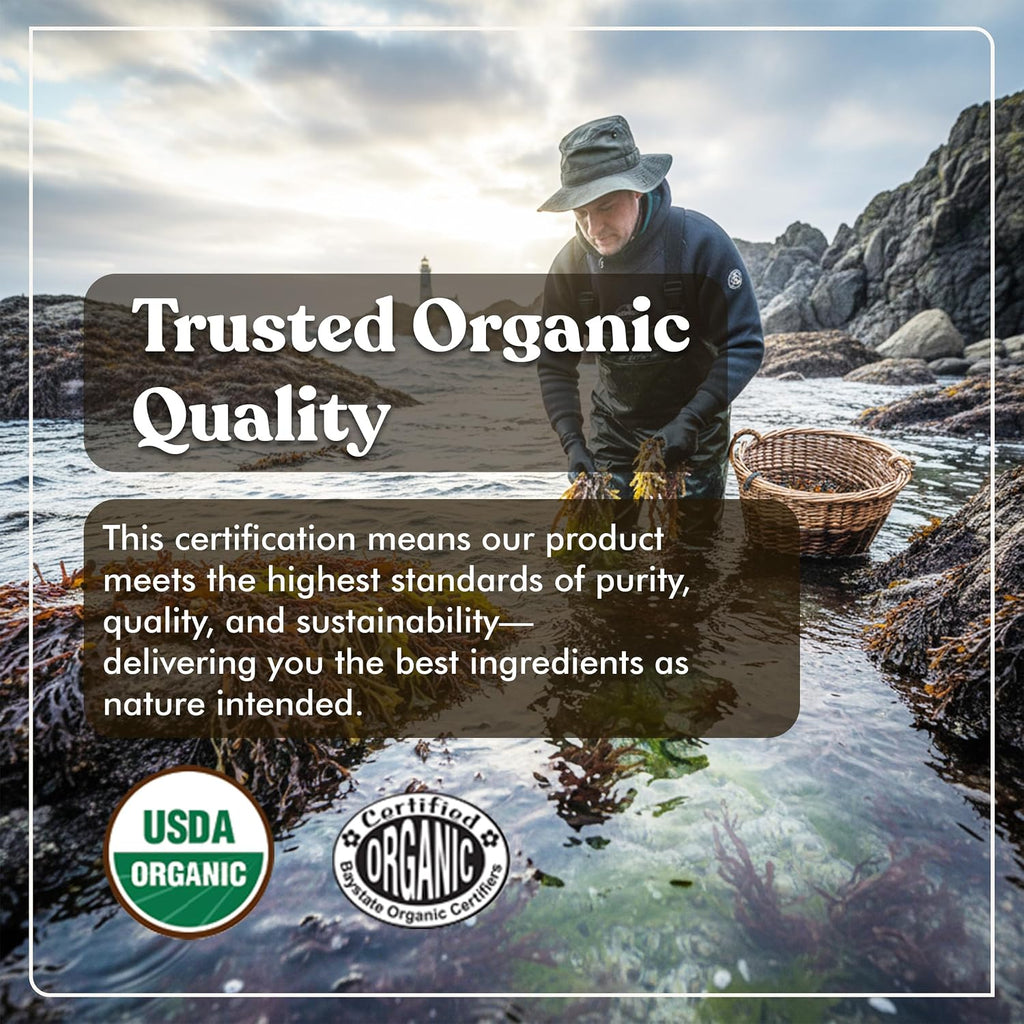 American Standard Supplements Cápsulas Orgánicas de Sea Moss, Bladderwrack y Burdock Root - 1200mg Sea Moss, 1200mg Bladderwrack, 225mg Burdock Root por Dosis - 120 Cápsulas, 40 Dosis