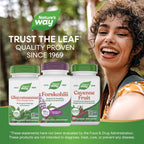 Nature's Way Forskohlii – Extracto Estandarizado con ForsLean 125 mg, 60 Cápsulas Veganas