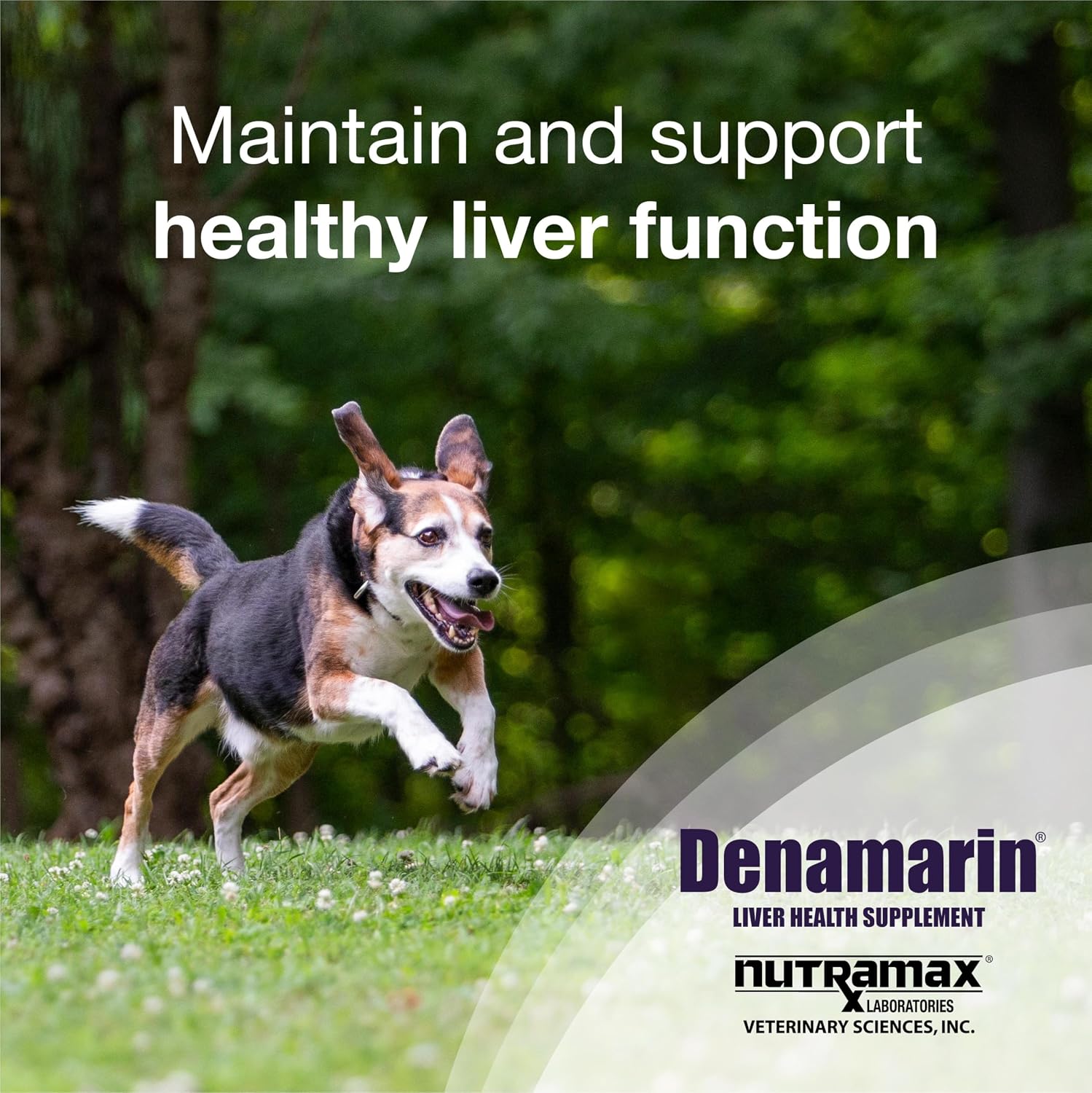 Nutramax Denamarin para Perros Medianos - Suplemento Hepático con SAMe y Silibina - 30 Comprimidos Recubiertos