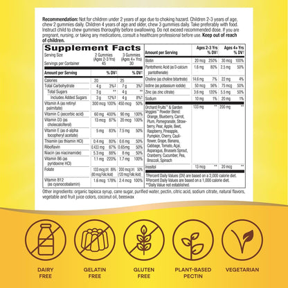 Nature's Way Alive! Multivitamínico Infantil – Vitamina E: actúa como antioxidante, protegiendo las células del – Image 4