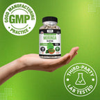 Kaya Naturals Extracto de Hoja de Moringa - Superfood Verde Completo - 180 Cápsulas Vegetales