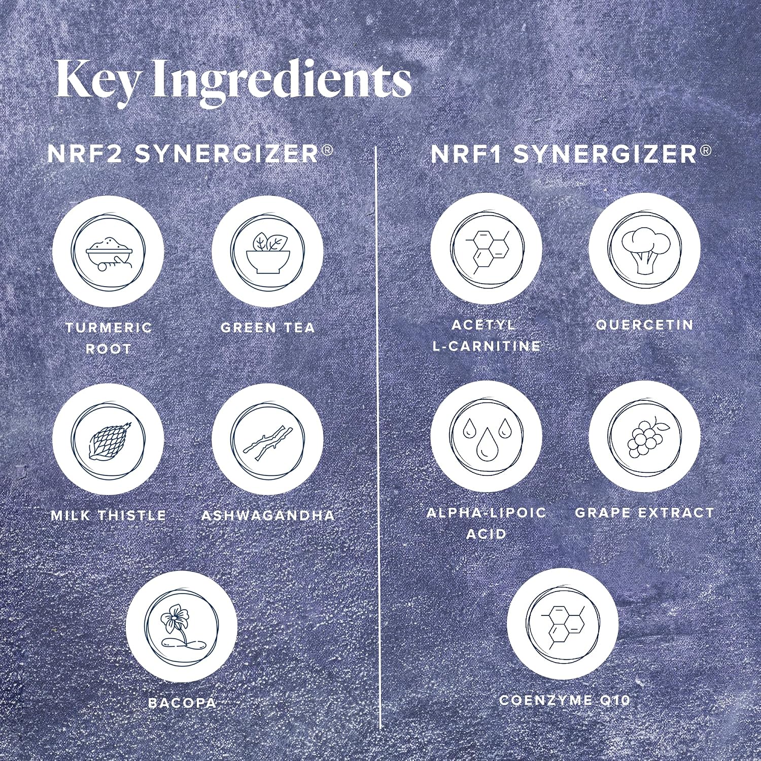 LifeVantage Protandim Dual Synergizer - 90 Cápsulas - Activadores NRF1 y Nrf2