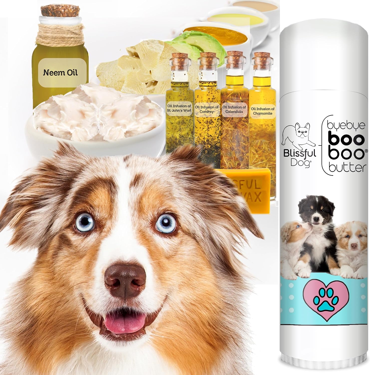 The Blissful Dog .50 oz Tubo de Mantequilla Booboo Pastor Australiano