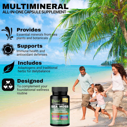 Cápsulas de Musgo Marino Orgánico Irlandés – – Jengibre: Con propiedades antiinflamatorias naturales, favorece el – Image 5