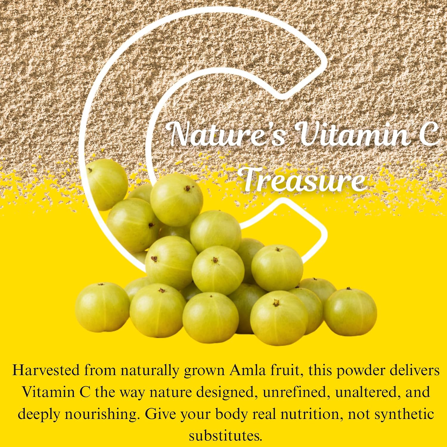BASIC AYURVEDA Polvo de Amla - 200g (7.05 oz) - 100% Grosella India Natural y Pura